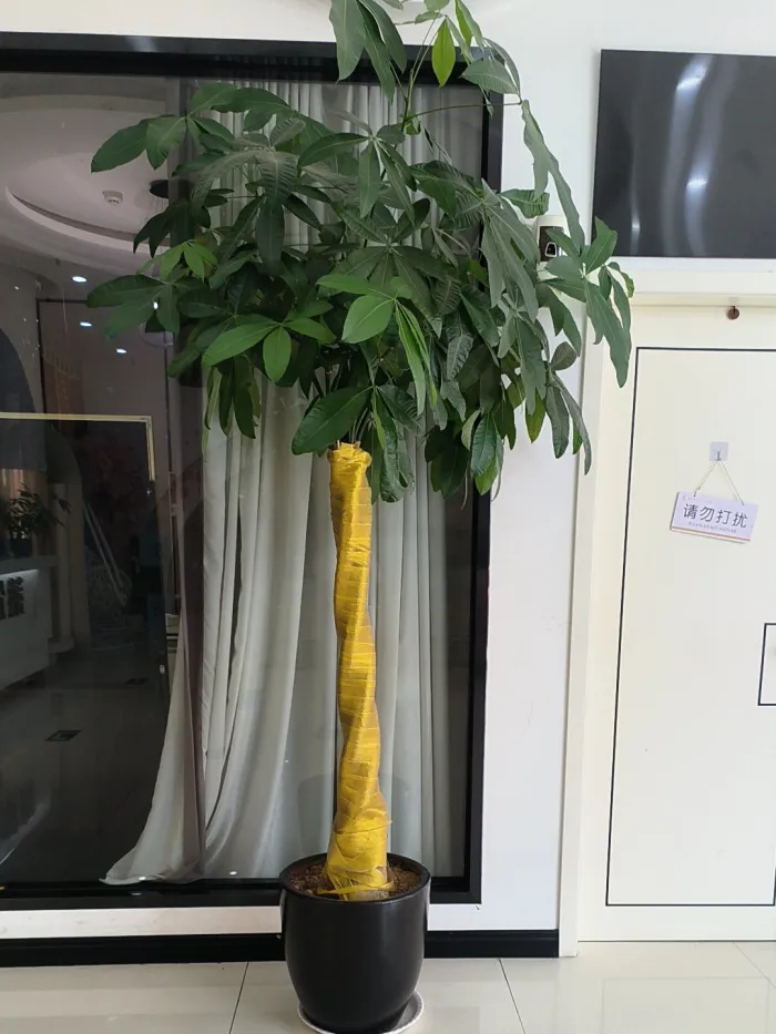 洛阳莱尔美医疗美容诊所