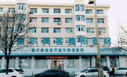 大同德尔美客医疗美容医院