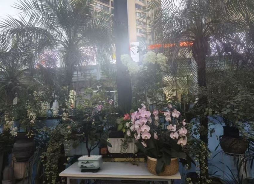 德阳旌阳壹号美都医疗美容门诊部