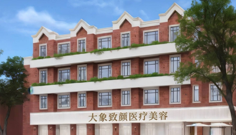 成都高新大象致颜医疗美容门诊部