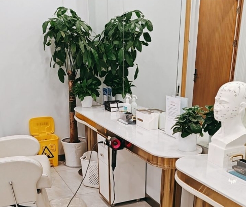 杭州碧莲盛植发