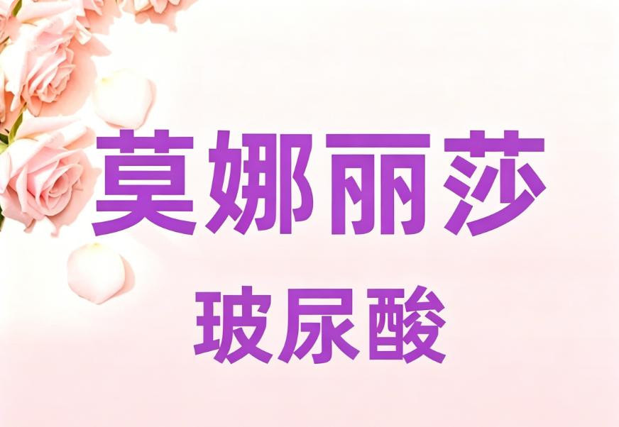 莫娜丽莎玻尿酸1mL