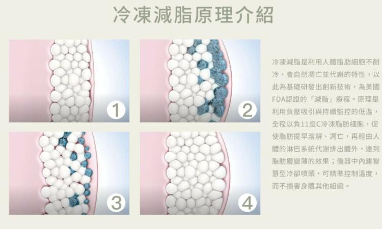 酷塑溶脂原理