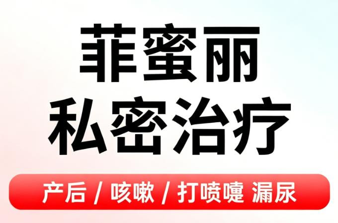 菲蜜丽激光私密护理