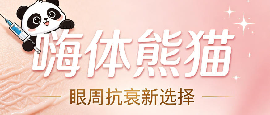 嗨体熊猫