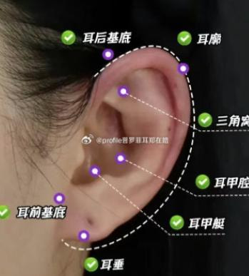 精灵耳