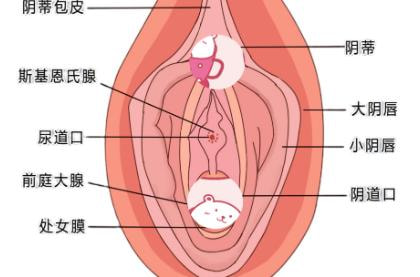 全包式#自然落红#保护女性隐私安全