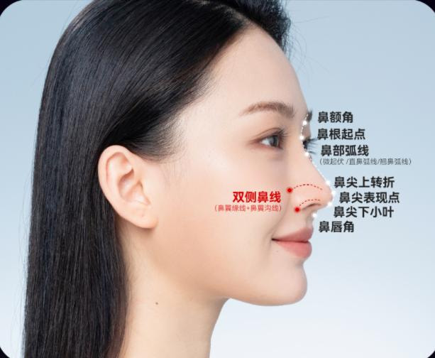 隆鼻.jpg