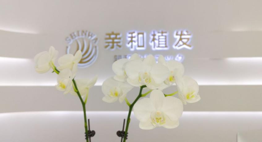 大连亲和植发