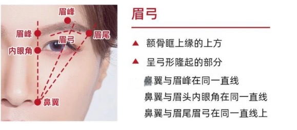 眉弓.jpg