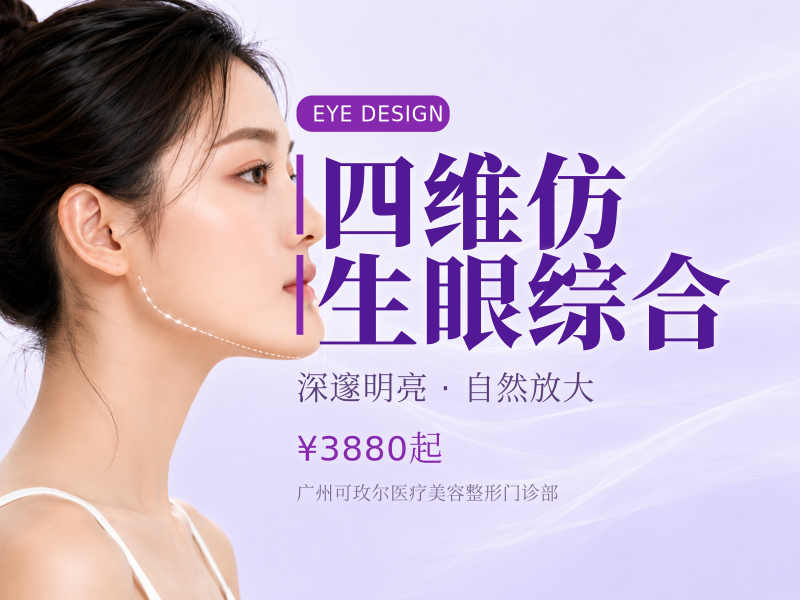 四维仿生眼综合
