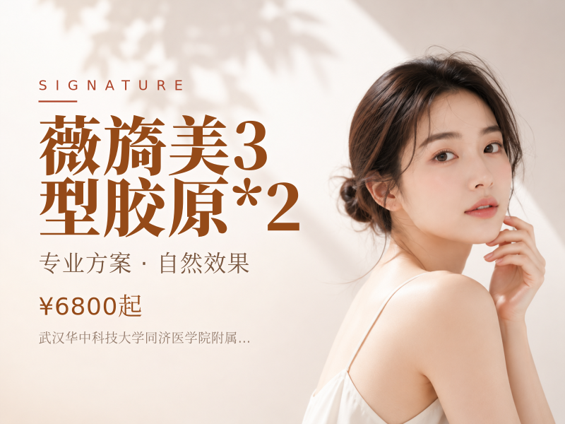 薇旖美3型胶原*2