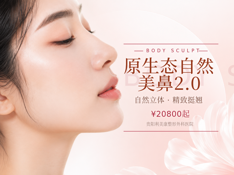 原生态自然美鼻2.0（进口膨体+柔性鼻尖塑形+双拱支架）