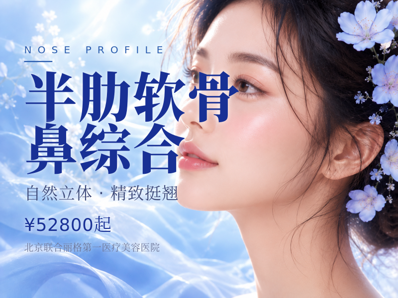 半肋软骨鼻综合