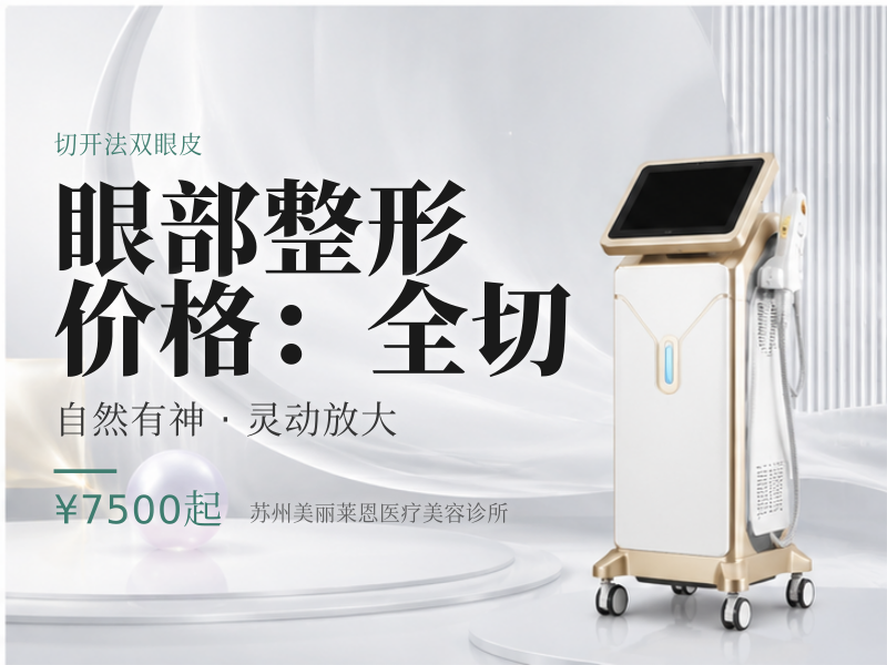 眼部整形 | 价格：全切