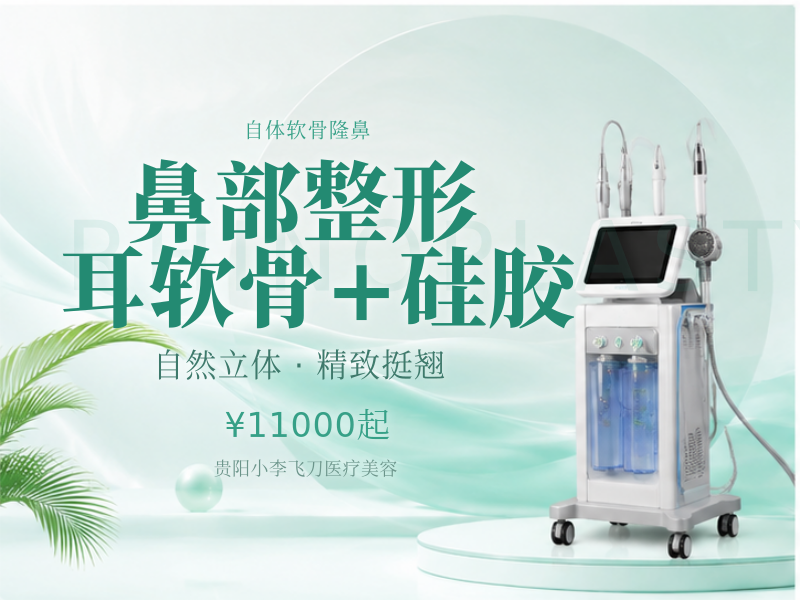 鼻部整形 耳软骨+硅胶