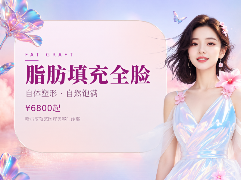 脂肪填充全脸丨价格