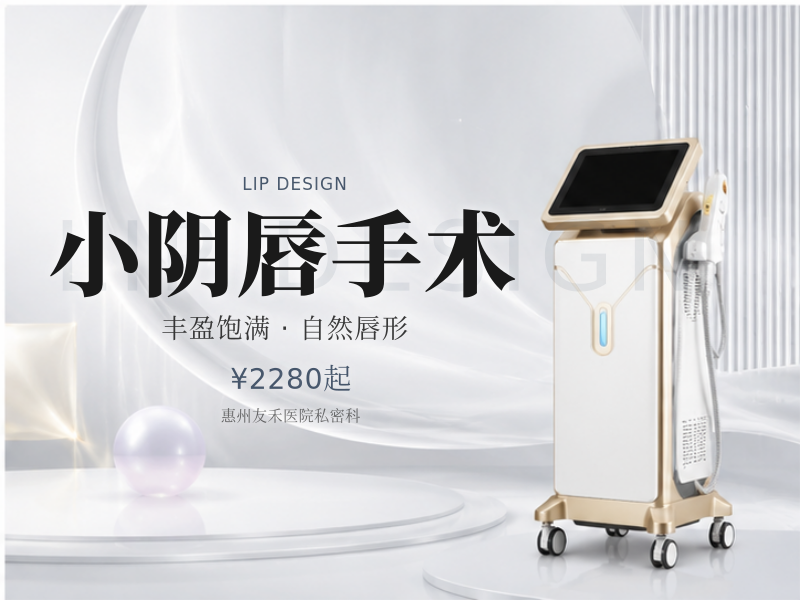 小阴唇手术