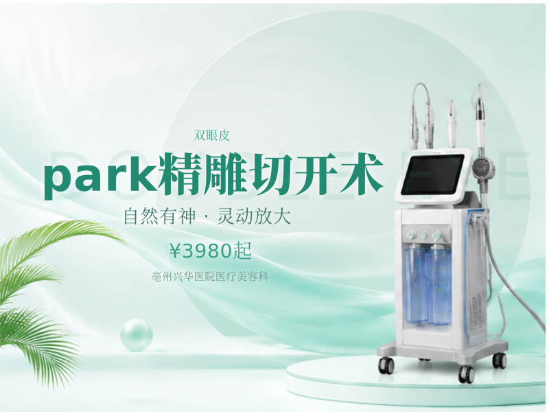 park精雕切开术
