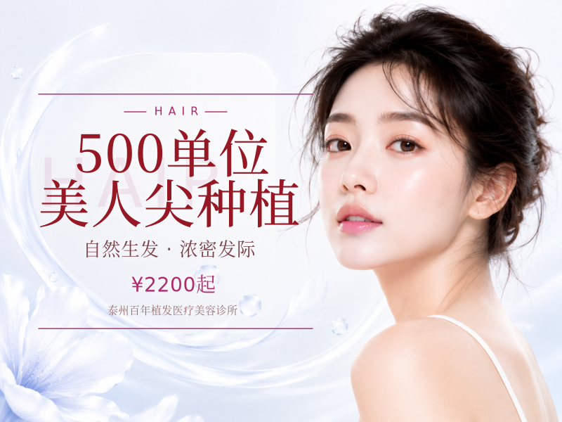 500单位 | 美人尖种植