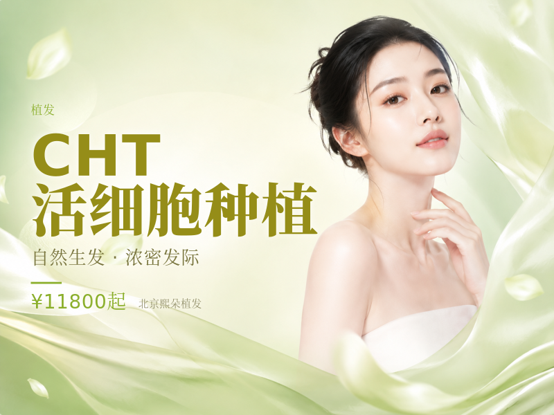 CHT 活细胞种植