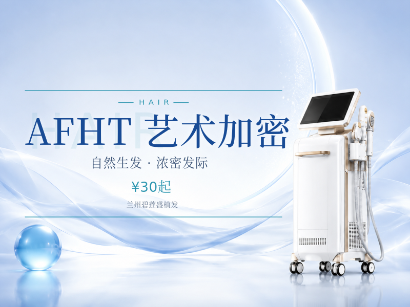 AFHT 艺术加密