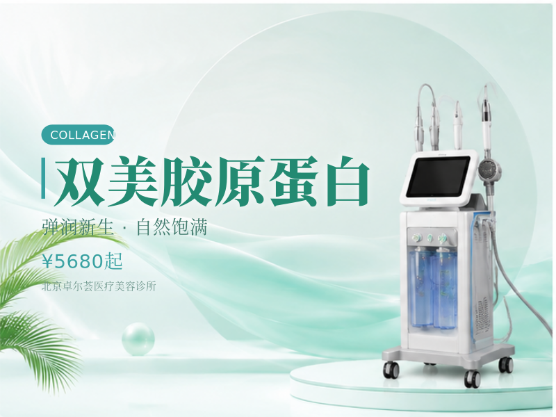 双美胶原蛋白