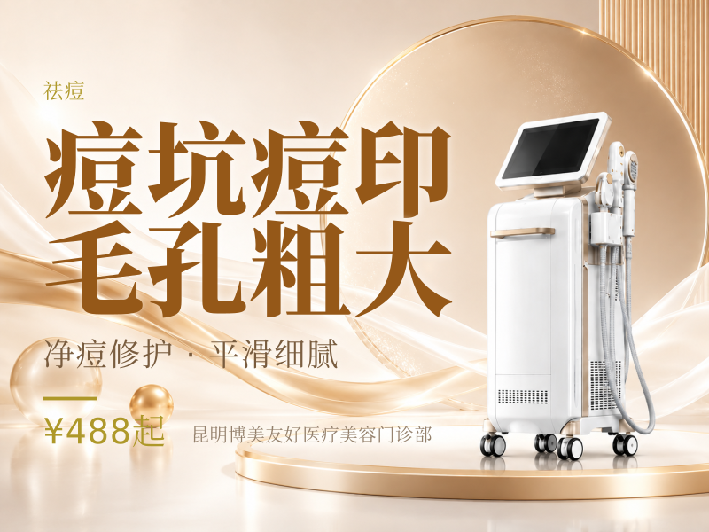 痘坑痘印/毛孔粗大