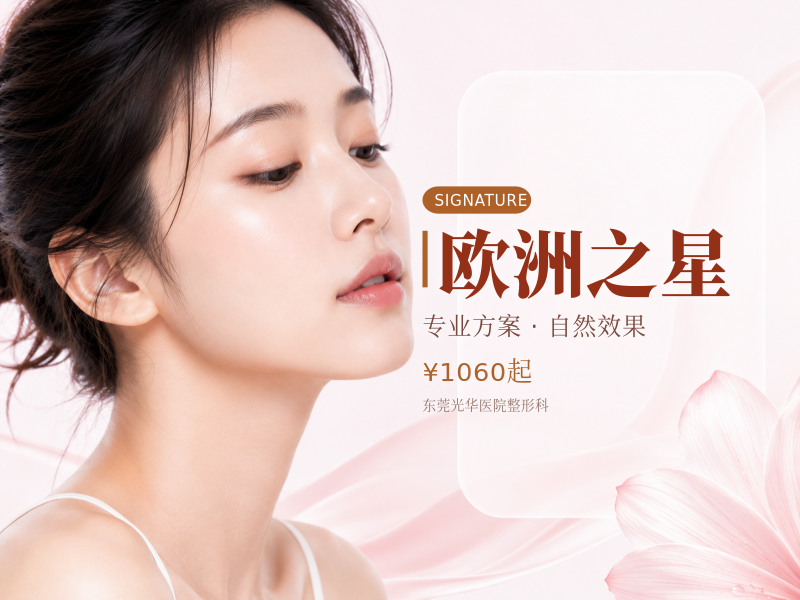 欧洲之星