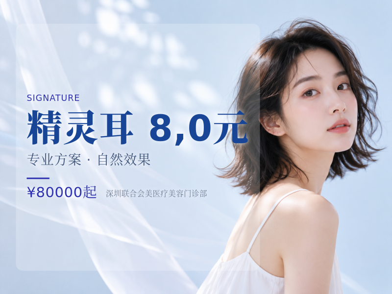 精灵耳 8,0元