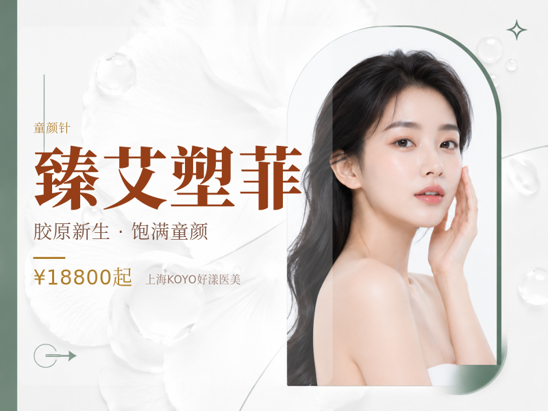 臻艾塑菲