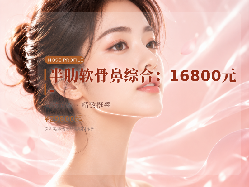 半肋软骨鼻综合（假体鼻梁+肋软骨鼻尖）：16800元 -