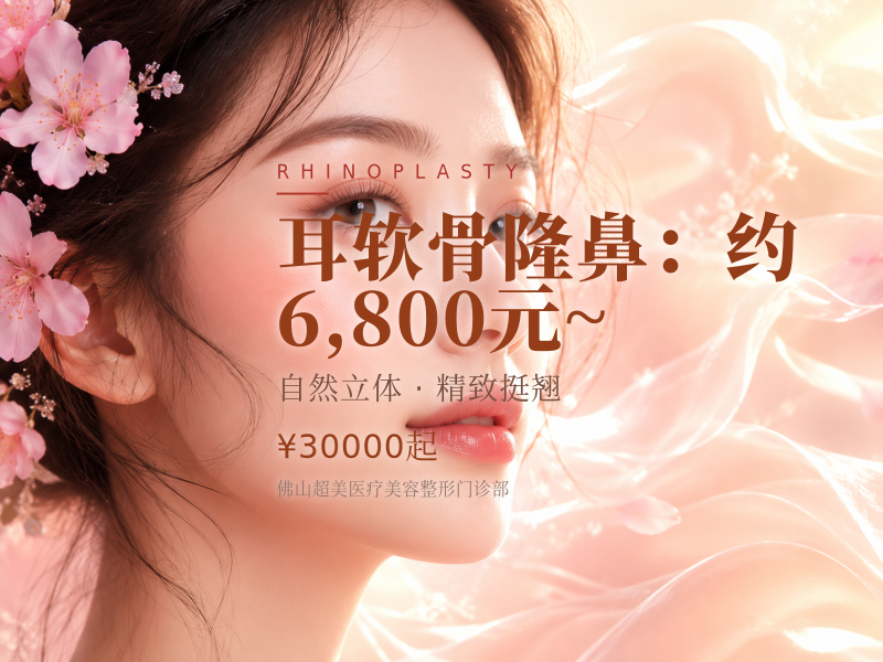 耳软骨隆鼻：约 6,800元 ~