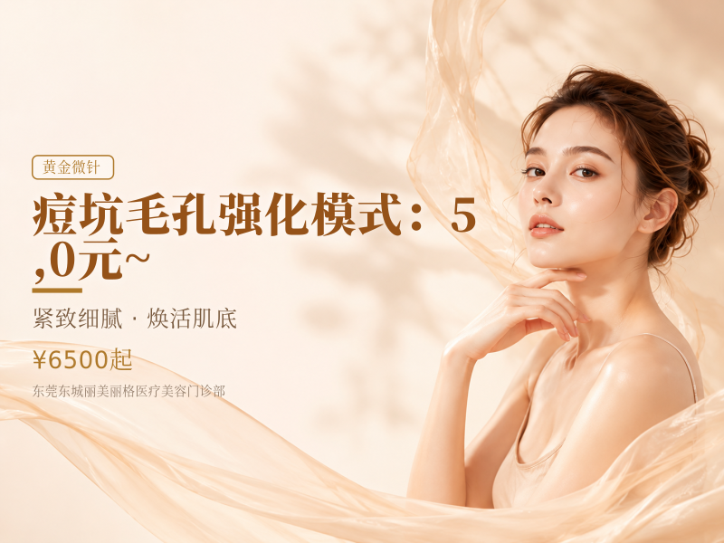 痘坑/毛孔强化模式（全脸4.0）：5,0元 ~