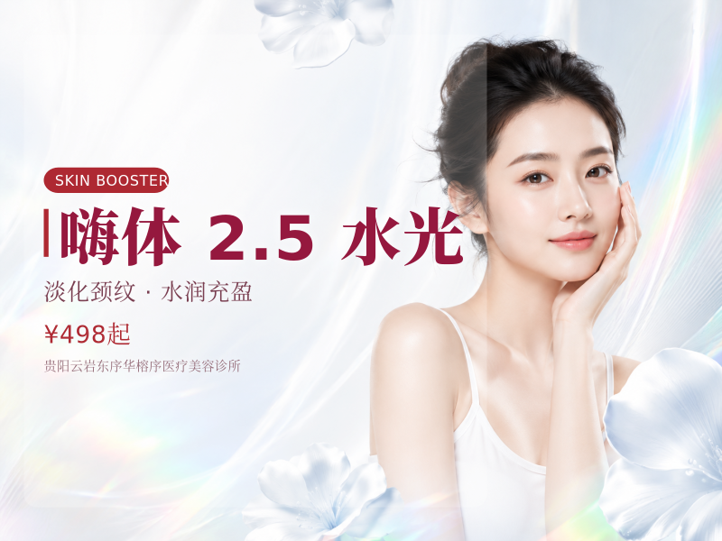 嗨体 2.5 水光