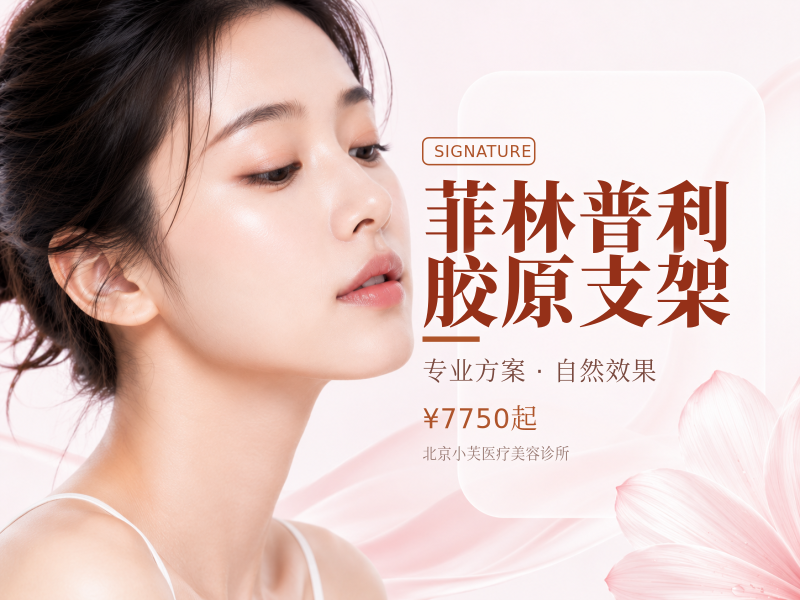 菲林普利胶原支架