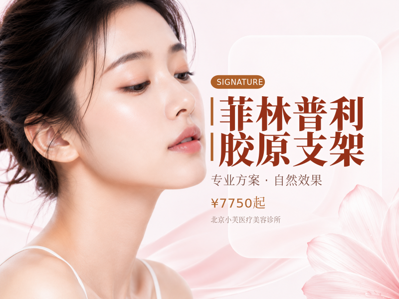 菲林普利胶原支架
