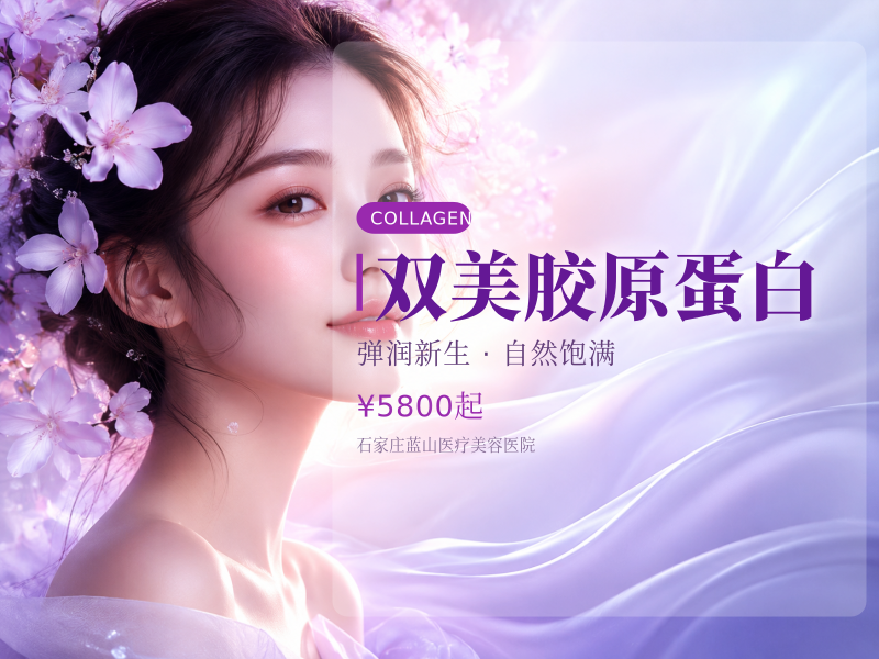 双美胶原蛋白
