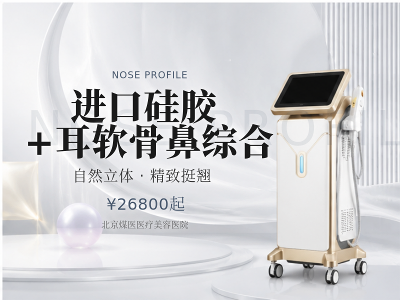 进口硅胶+耳软骨鼻综合