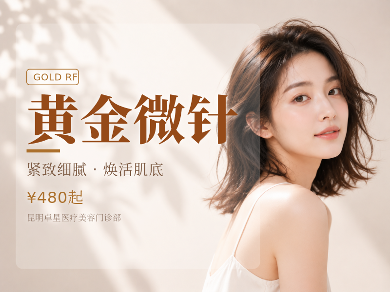 黄金微针4.0|适合：毛孔、痘坑痘印干