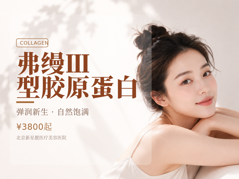 弗缦 Ⅲ 型胶原蛋白