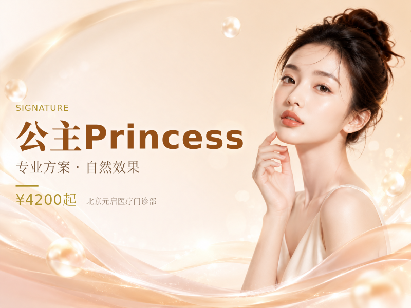 公主Princess